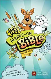 HANDS ON BIBLE